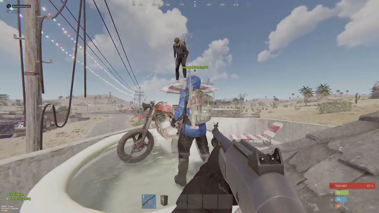 Professional Idiots on Elysium Rust.