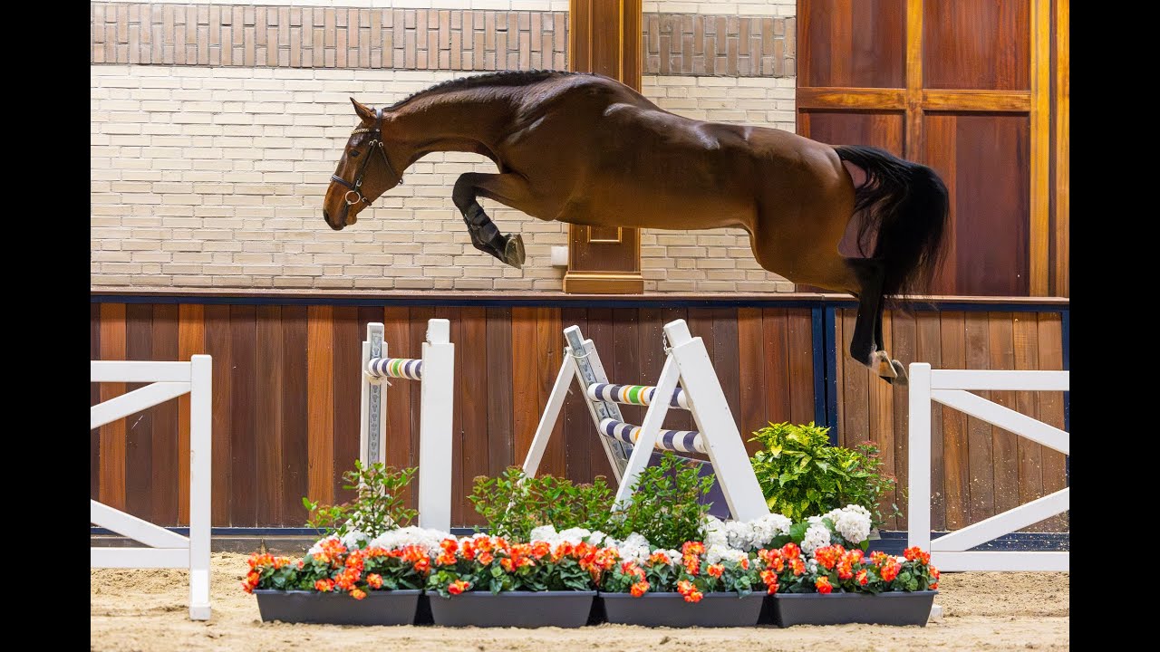 Replay (Arezzo x Indoctro)