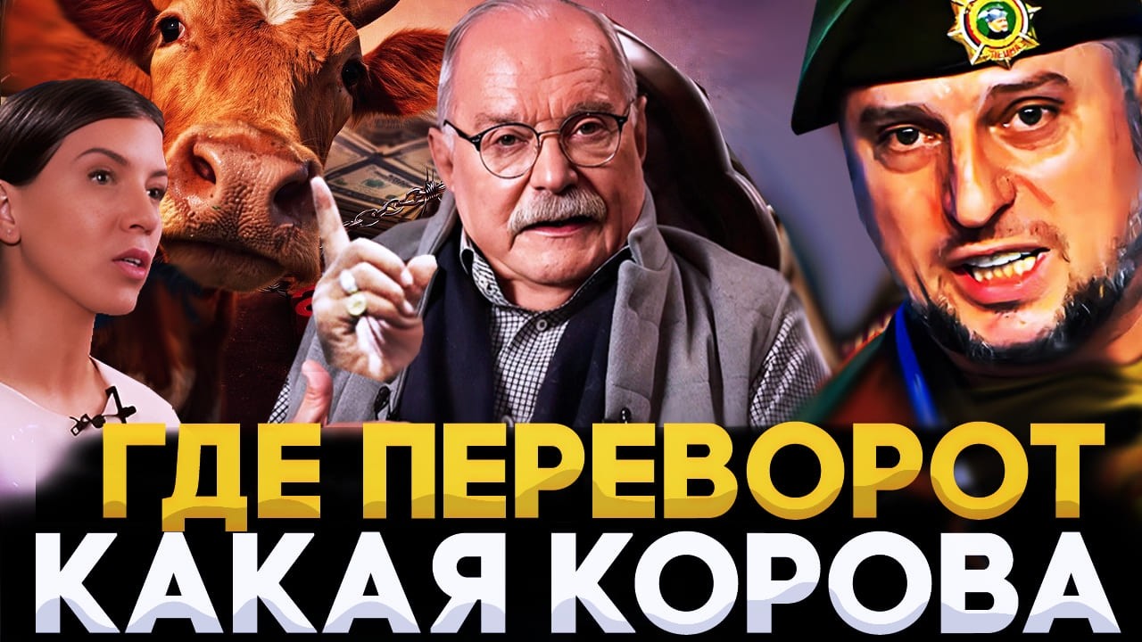 КАКАЯ КОРОВА, ГДЕ ПЕРЕВОРОТ / МИХАЛКОВ БЕСОГОН / АПТИ АЛАУДИНОВ / ОКСАНА КРАВЦОВА @oksanakravtsova