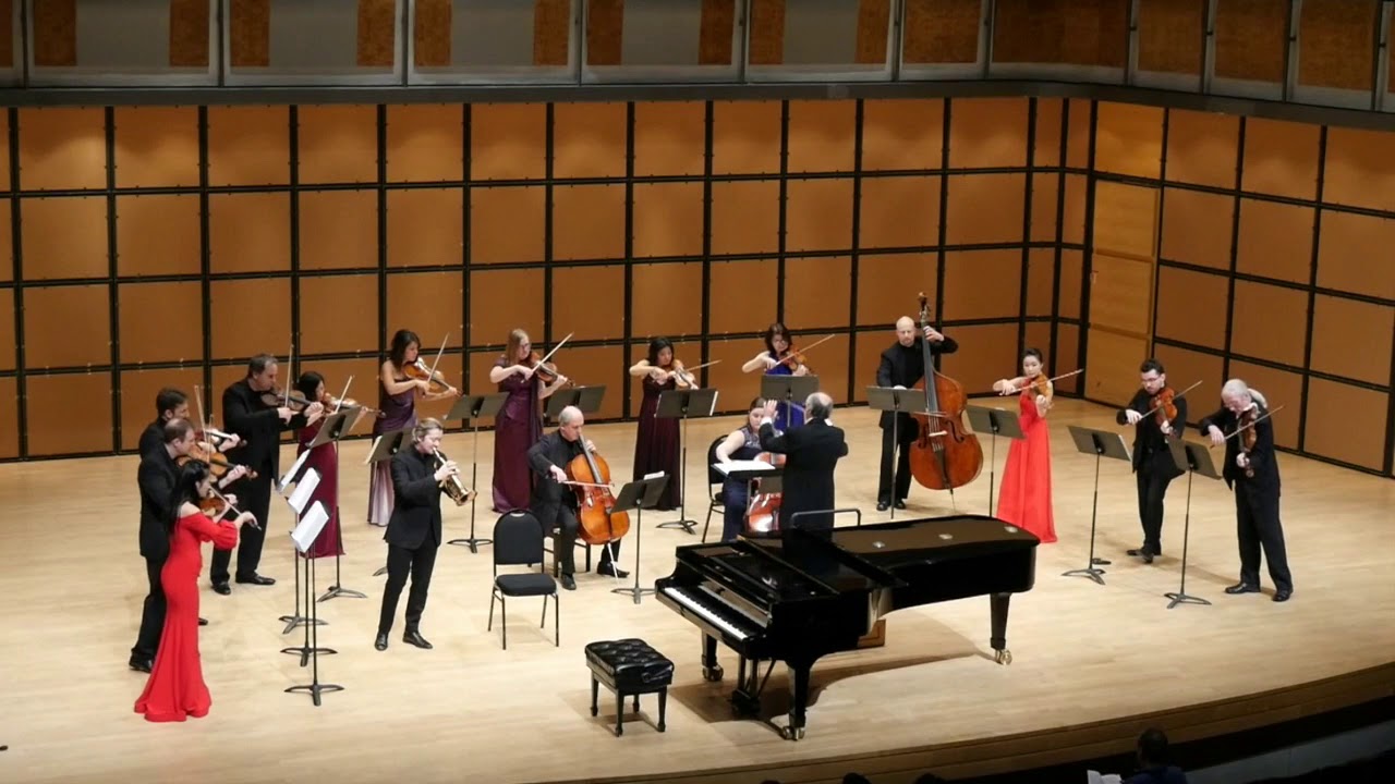 Mozart Horn Concerto No  4 - movement 1