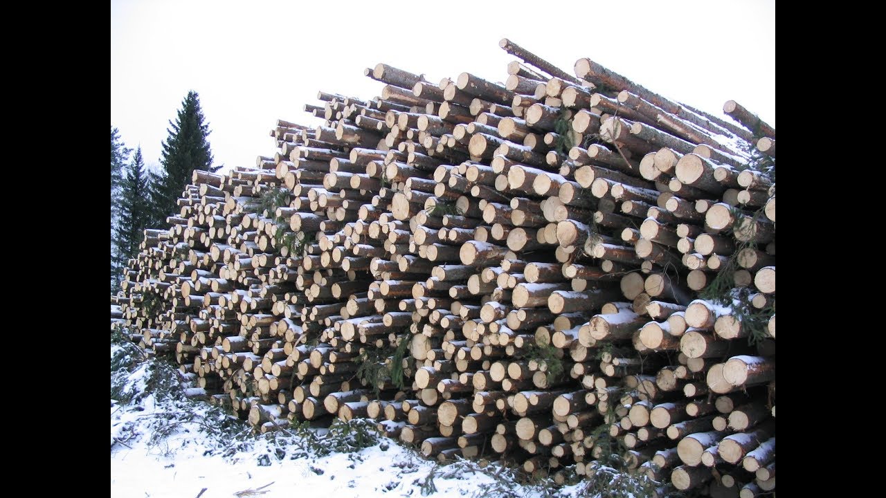 Metsolan Metsäkoulu 42, Kiertoajan kannattavuuspohdintaa