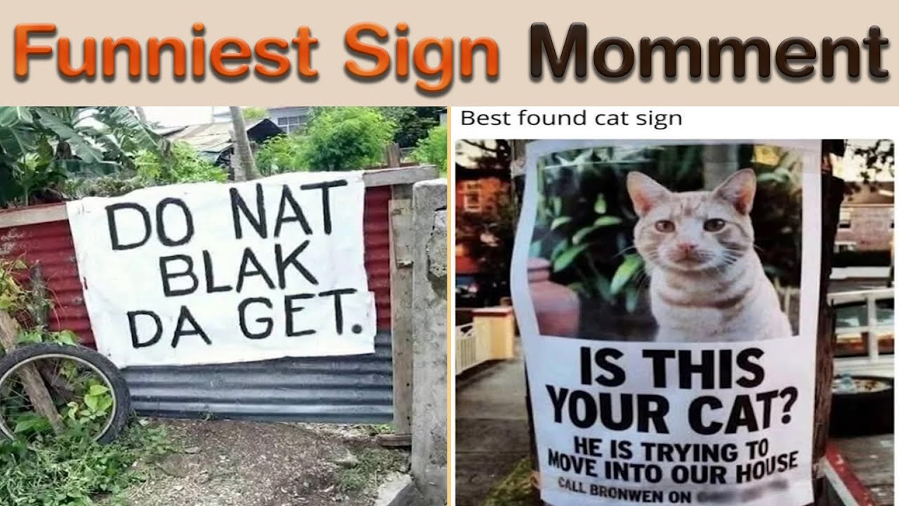 The Funniest Sign Moment That Proves Logic Is Totally Overrated! || Sign Hub