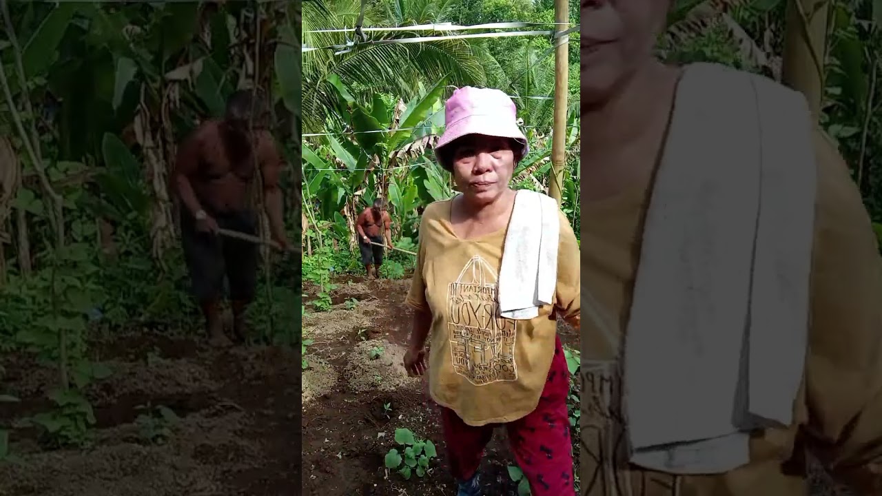 Samahan nyo po ako mga kamarites mag tatanim tayo..