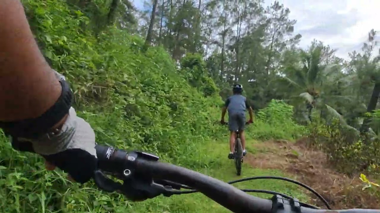 Downhill Trek 
