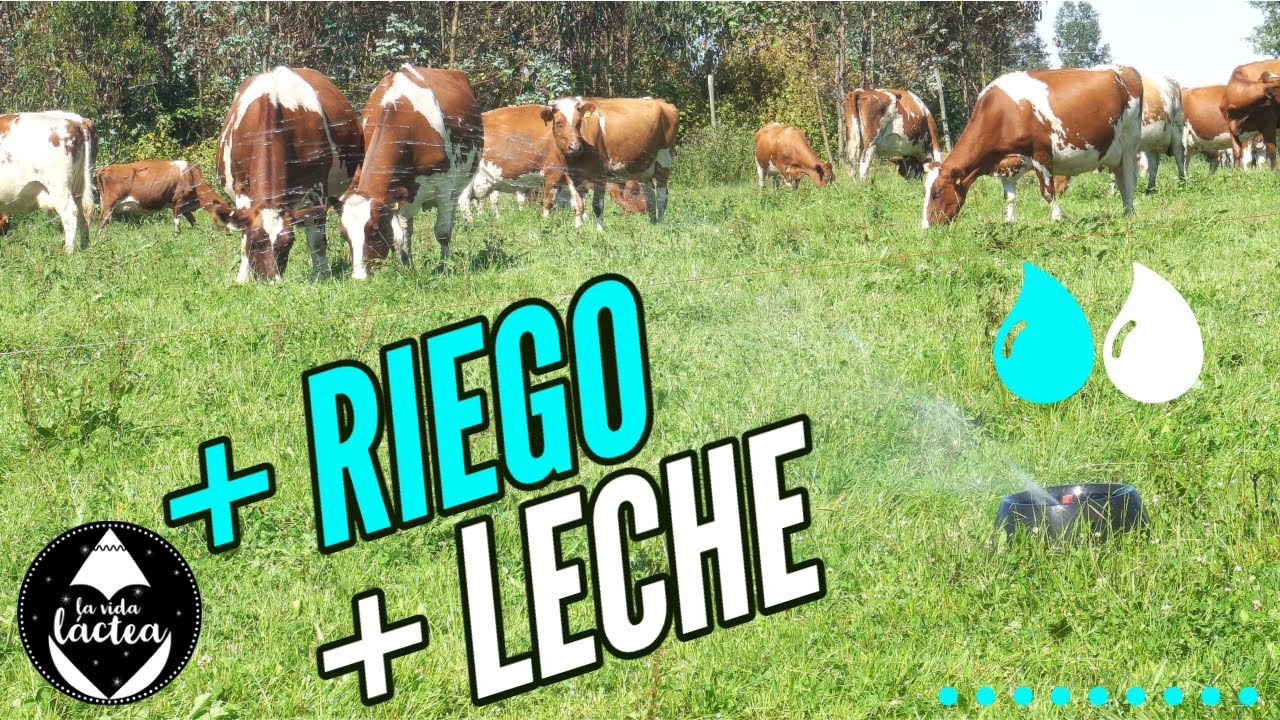 Sin AGUA no hay LECHE: La importancia del RIEGO en un contexto de CAMBIO CLIMÁTICO