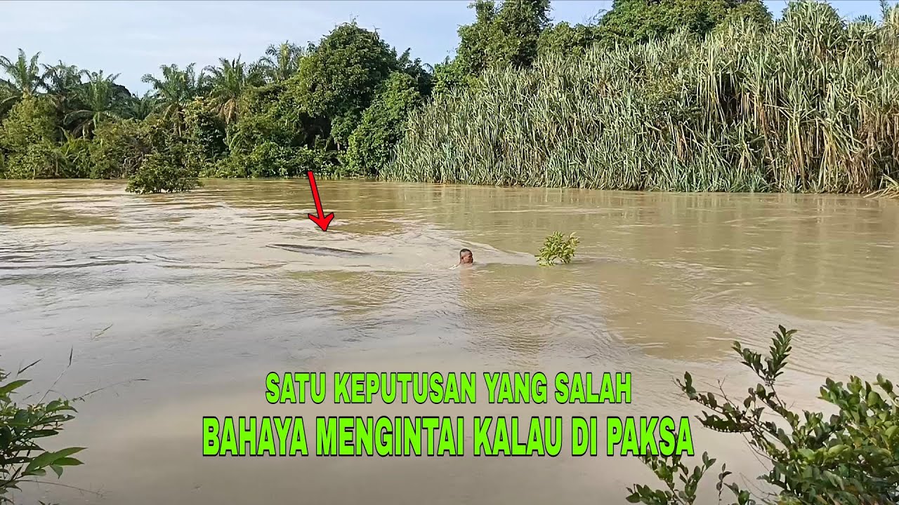 Satu keputusan salah❗Bahaya mengintai kalau di paksa ‼️