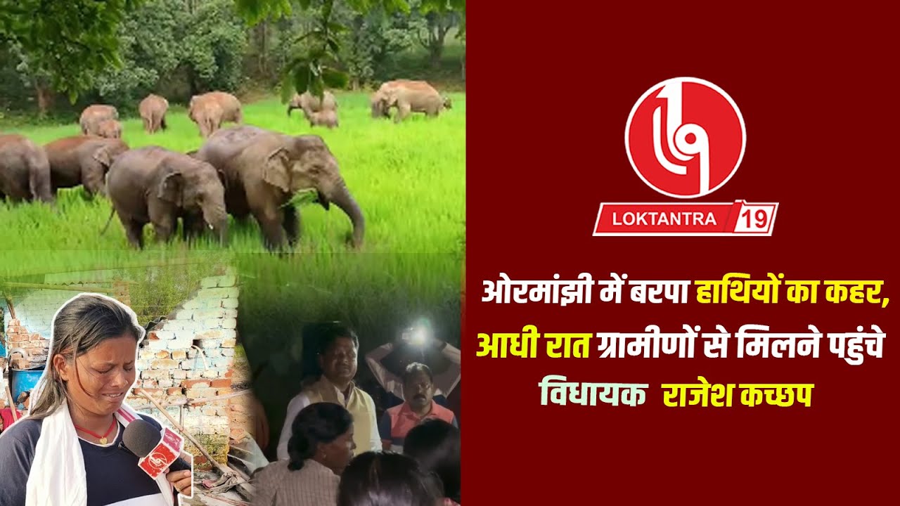 @loktantra19 ओरमांझी में बरपा हाथियों का कहर,आधी रात ग्रामीणों से मिलने पहुंचे विधायक राजेश कच्छप