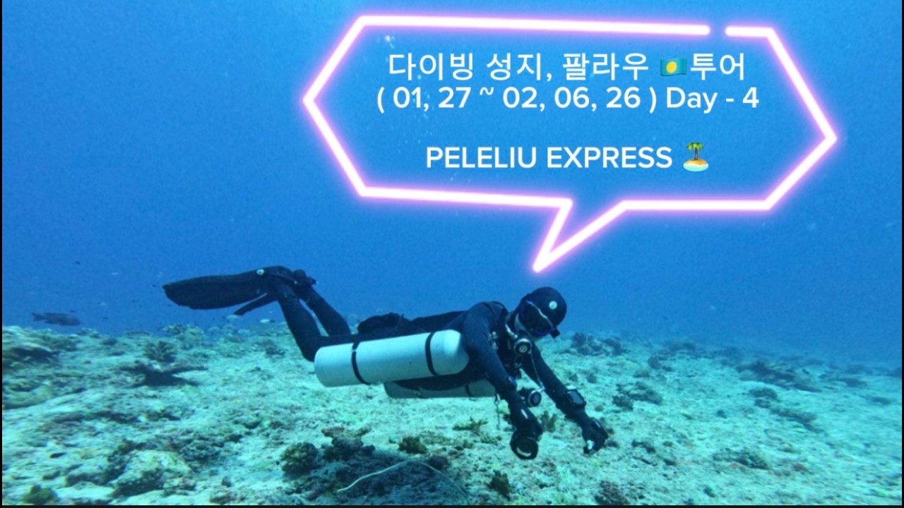 다이빙 성지, 팔라우 🇵🇼투어 ( 01, 27 ~ 02, 06, 26 ) Day - 4 페릴리우 섬 🏝️ Peleliu Express 