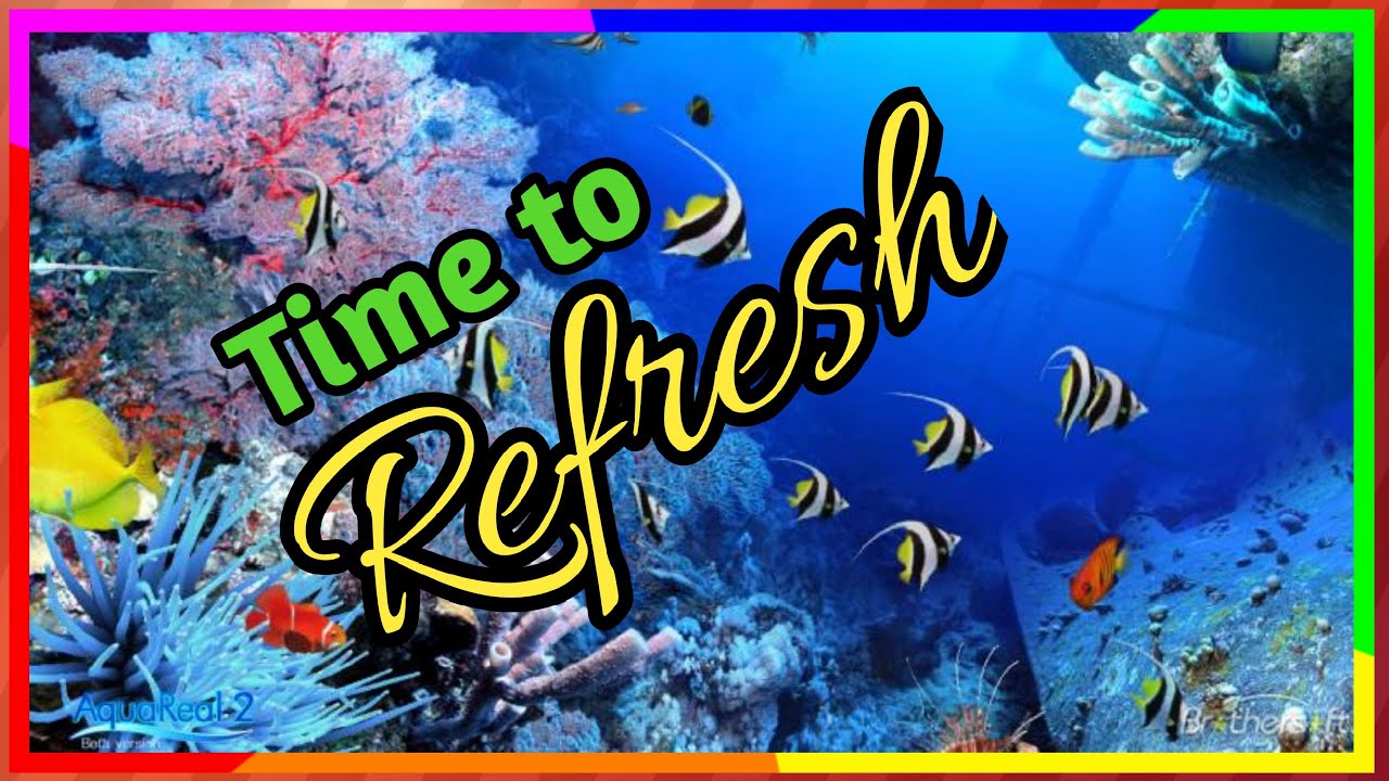 My Refreshing Fish Aquarium