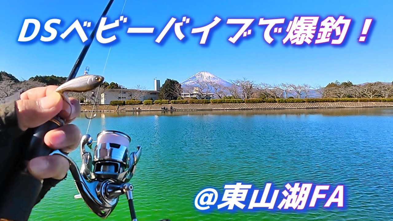 【東山湖攻略】DSベビーバイブで爆釣！