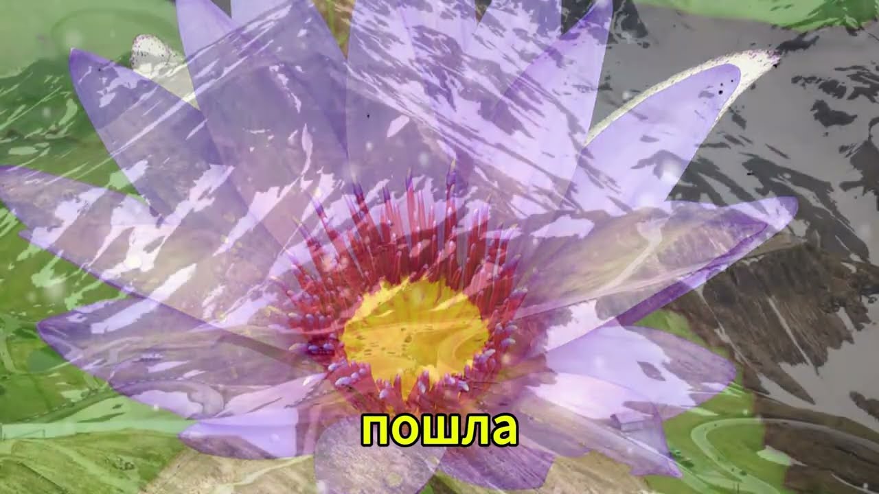 ТЕЩА ЗЯТЬ - НУ ЧТО ЗЯТЕК НЕ БУДЕМ СТЕСНЯТЬСЯ l РАССКАЖУ ТЕБЕ. ЛЮБОВНЫЕ ИСТОРИИ.