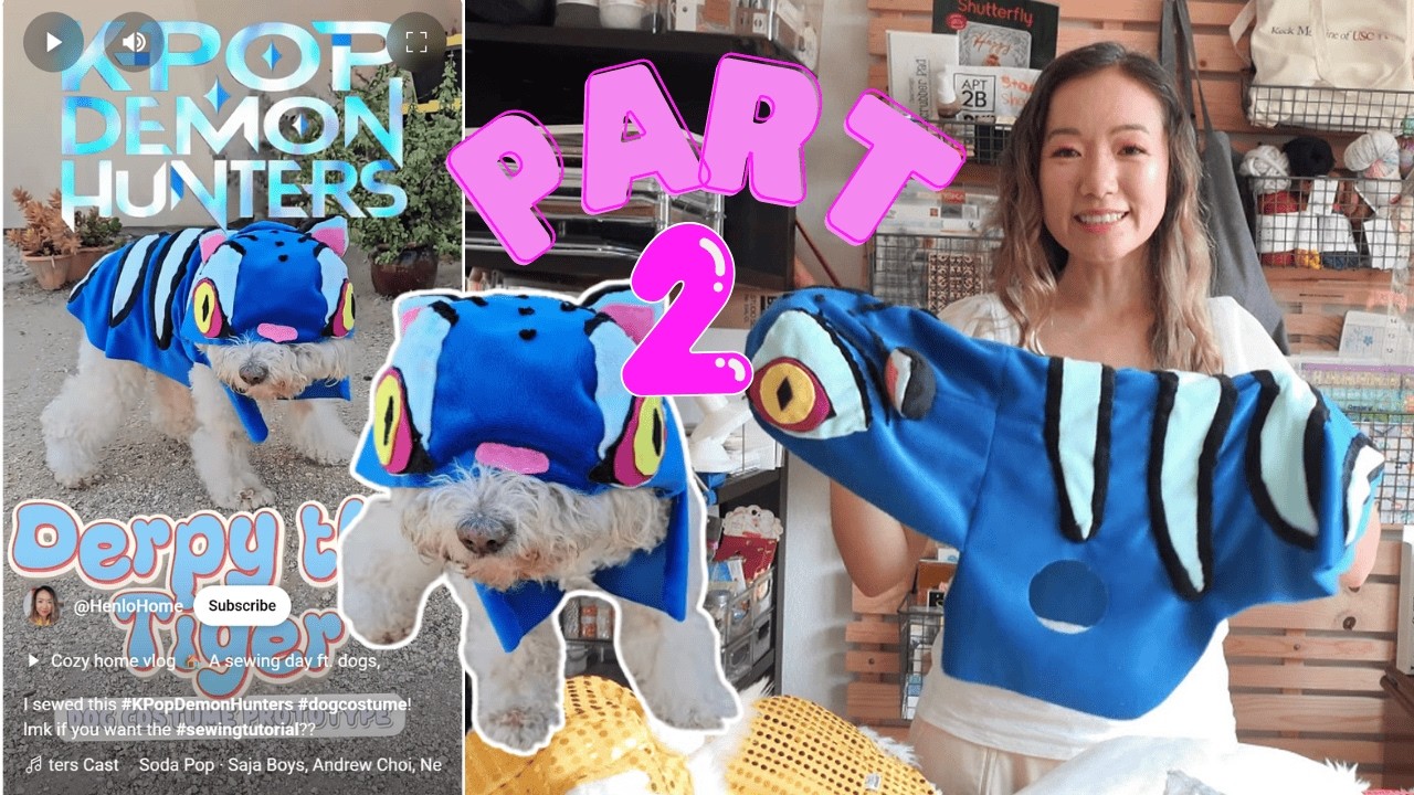 The Making of: Kpop Demon Hunters Derpy Tiger DIY Dog Costume Part 2