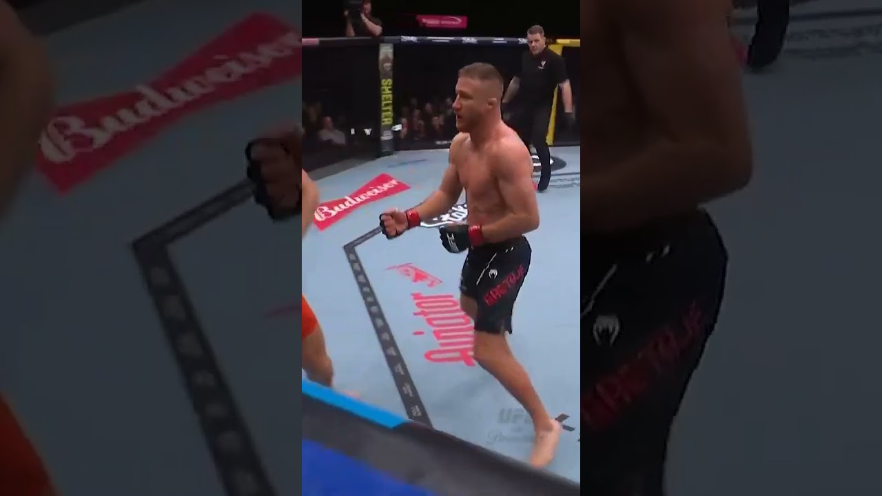 Джастин Гейтджи просто разгромил Пэдди Пимблетта #ufc324