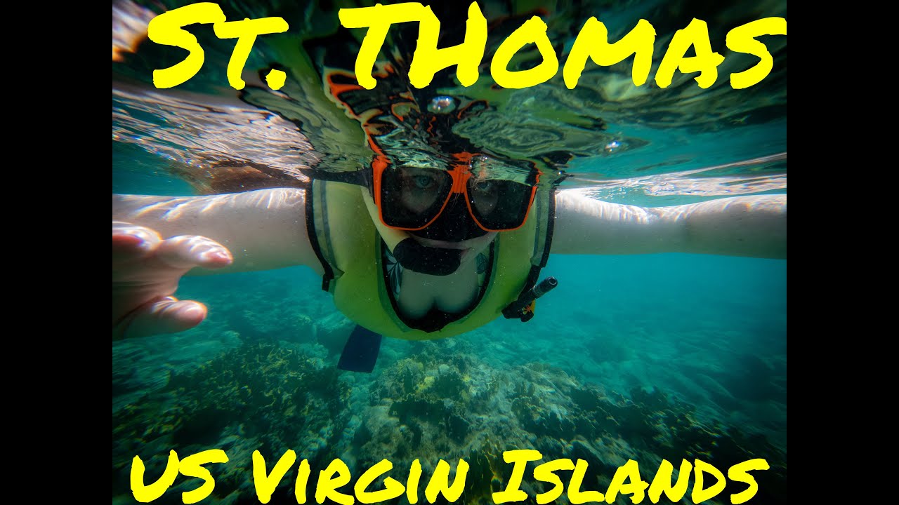 Snorkeling at Buck Island Wildlife Refuge, St Thomas, US Virgin Islands! November 2021