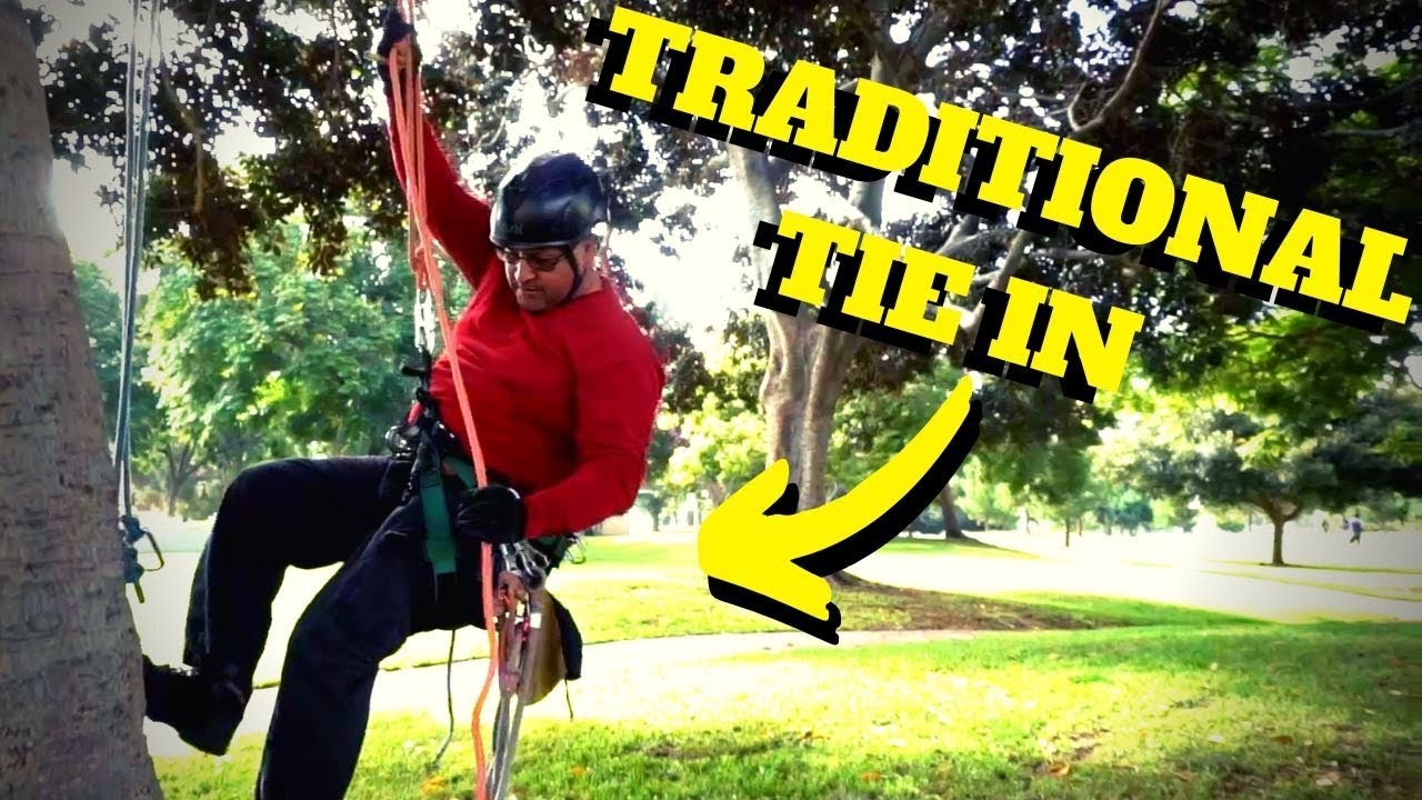 HOW TO USE A TRADITIONAL TIE IN -Intro to Tree Climbing W/ Bino H & Noah PT.12