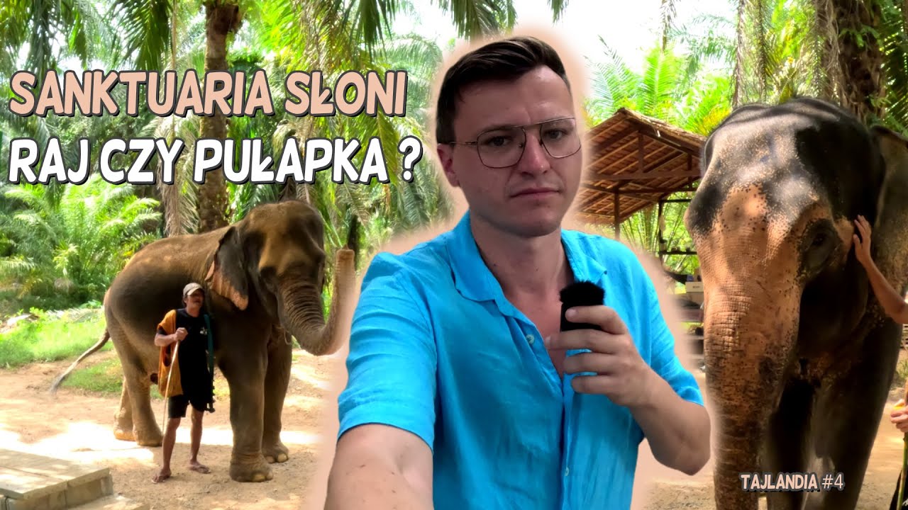 #6 Słonie, spływ rzeką i dżungla! Czyli magia Parku Narodowego Khao Sok! #4 Tajlandia