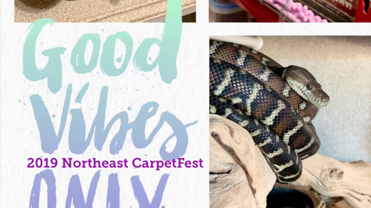 Hi to all at NE Carpet Fest 2019