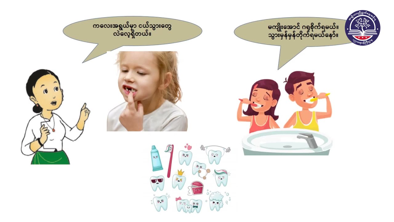 Grade 2 သိပ္ပံ၊ အခန်း (၂) ကျွန်ုပ်တို၏ ခန္ဓာကိုယ်အစိတ်အပိုင်းများကို နှိင်းယှဉ်ခြင်း၊ အပိုင်း(၁)