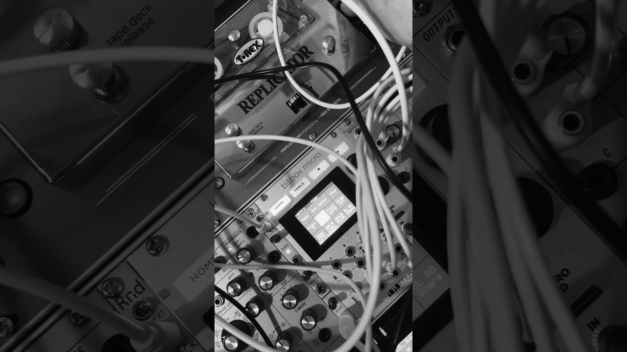 Dub Techno with Buchla Eurorack modular synth, T-Rex Tape Echo + Intellijel Reverb Tank
