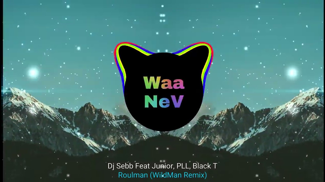 Dj Sebb Feat Junior, PLL, Black T - Roulman (WildMan Remix)