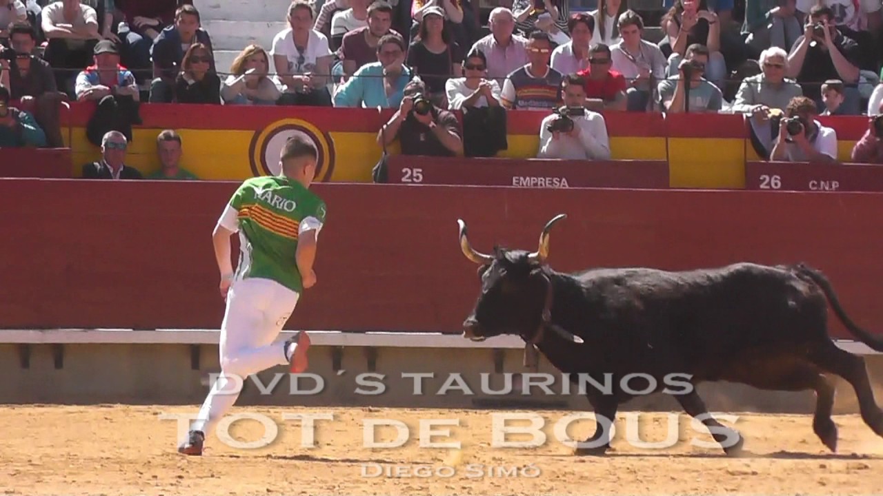 Castellón Alejandro Cuairán/Mario Gonzalez y  