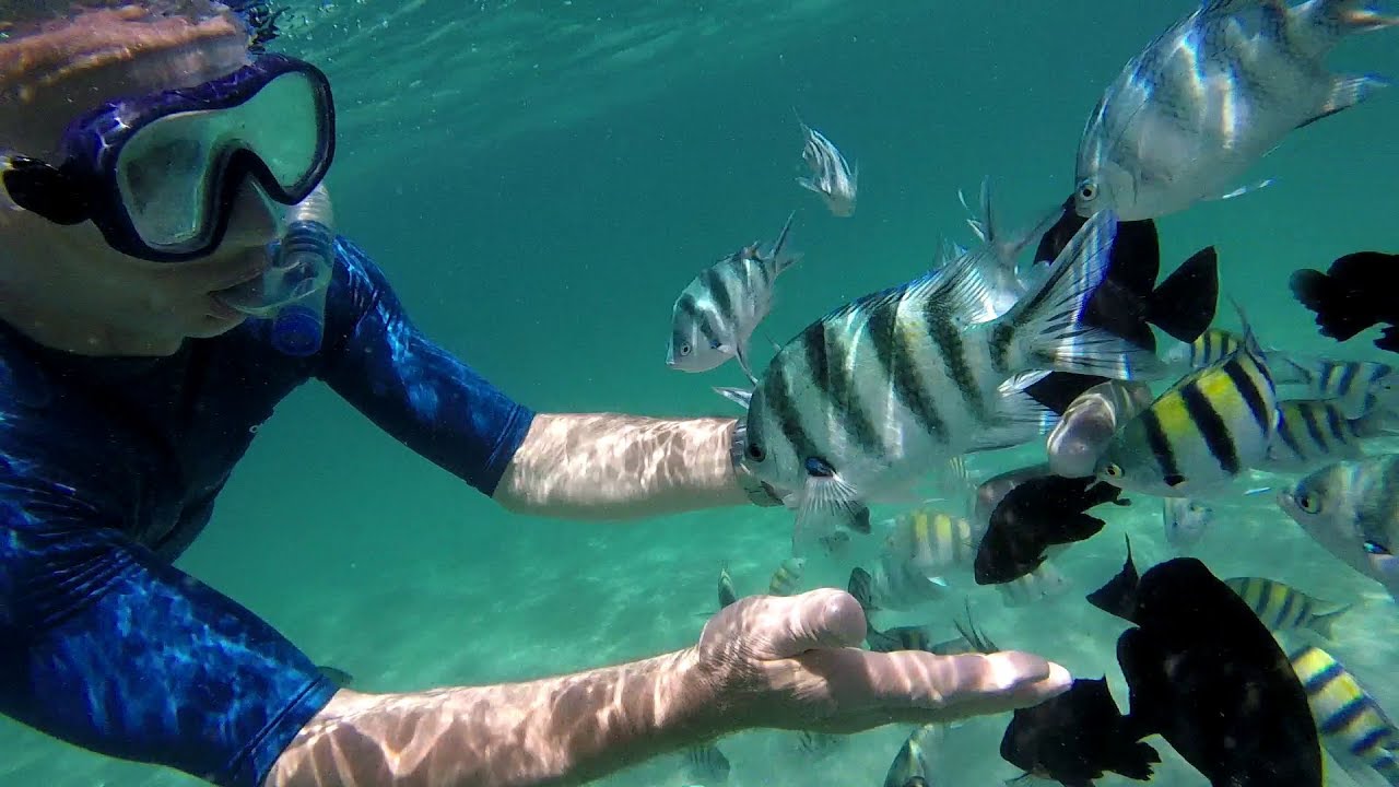 Hurghada Long Beach snorkelezés.