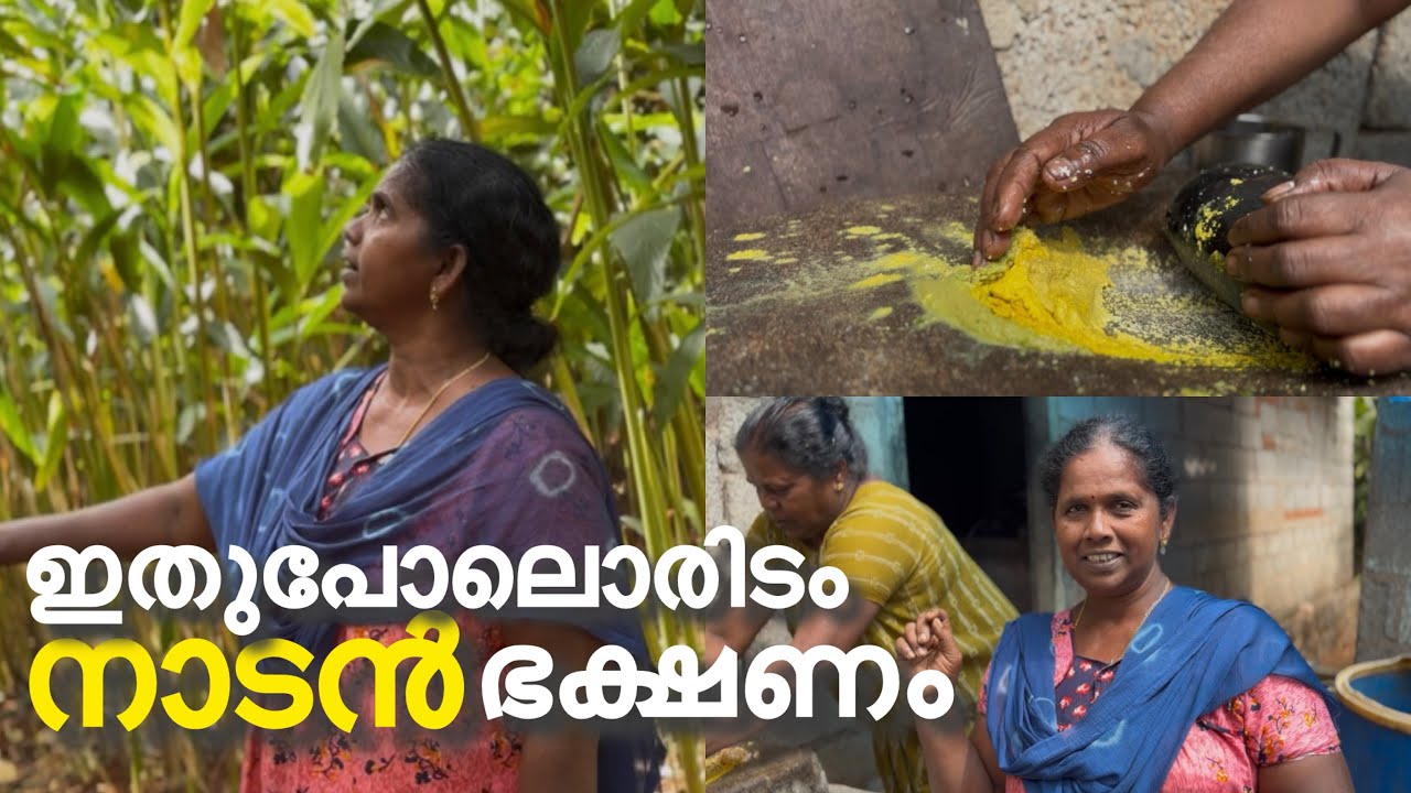 എല്ലാം നാടൻ പറമ്പിൽ നിന്നും നേരെ അടുപ്പിലേക്ക് #fishing #petshub #cooking #trending 