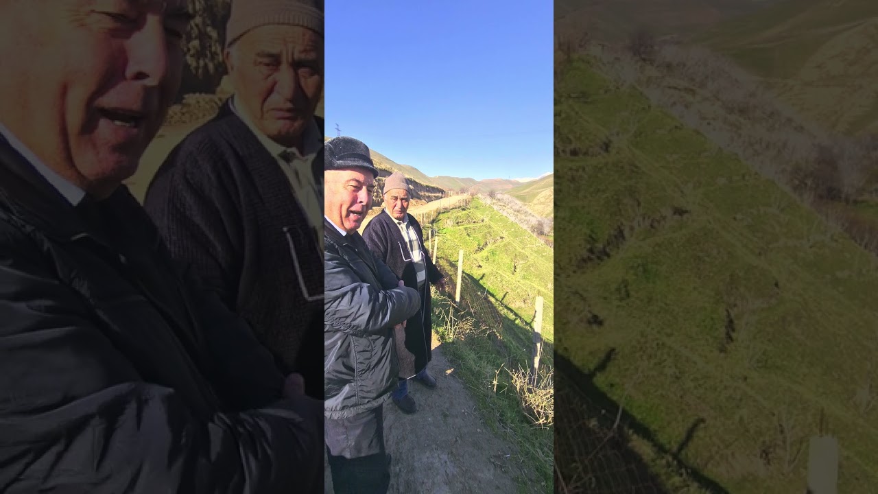 боғи писта дар деҳаи Маърифатии ҷамоати Чоряккорони ноҳияи Рудакӣ.