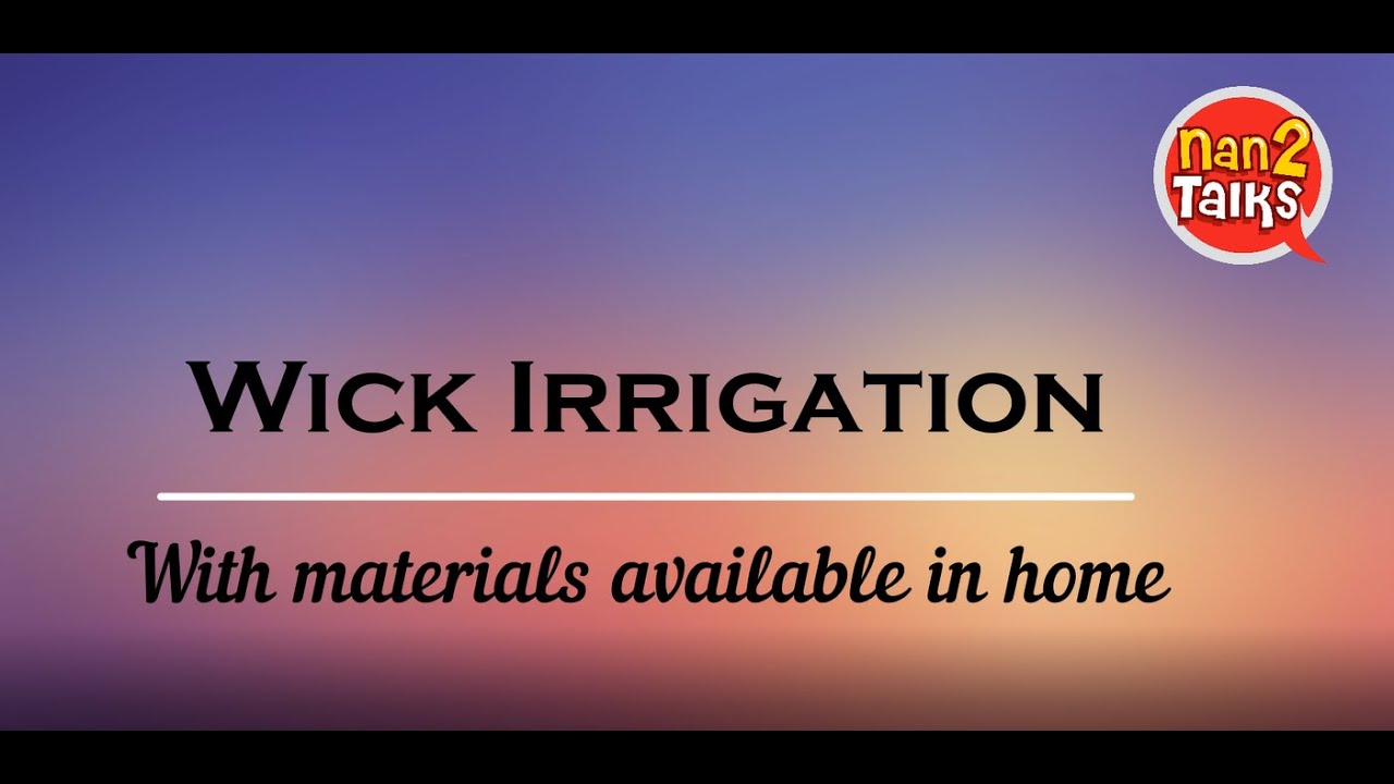 Wick Irrigation with materials available in home