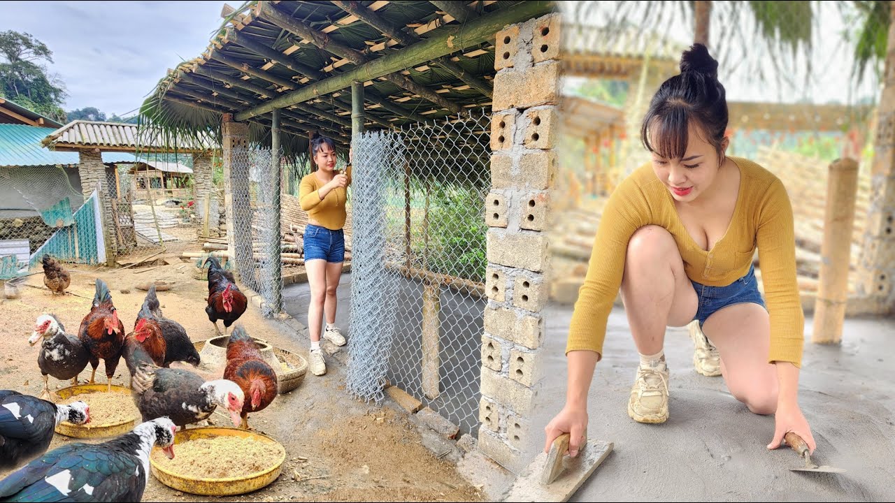 60 days of a girl building a new life alone, building a poultry farm, welcoming the new year