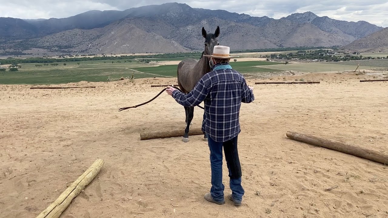 Chinaco - Addressing a Brace with the Right Eye