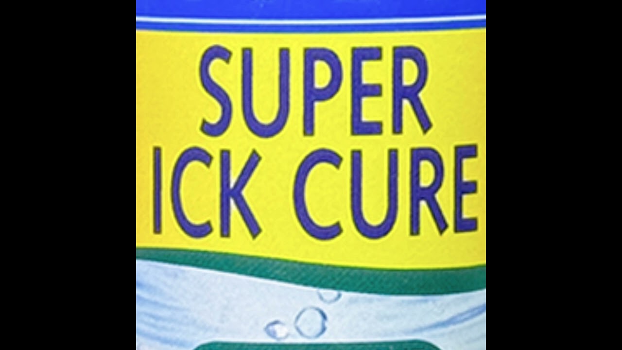 SIC ONE
