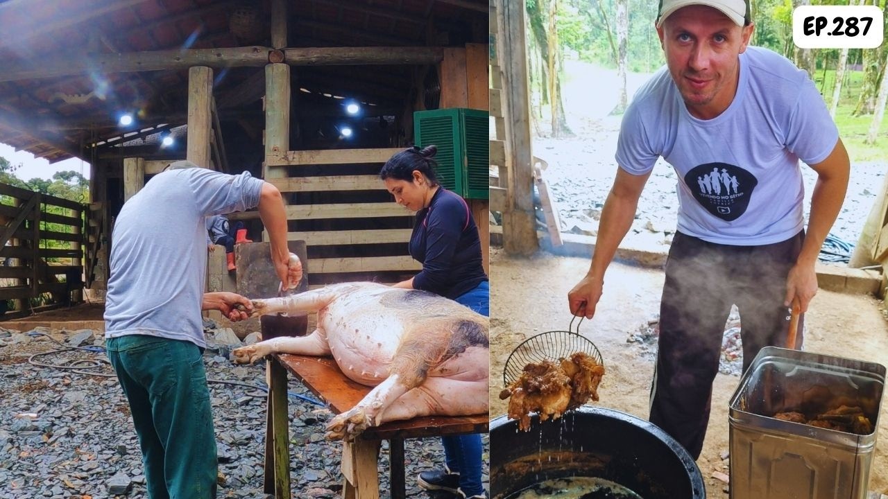 COMO FIZEMOS CARNE NA LATA, CARNEANDO PORCO CAIPIRA. EP287