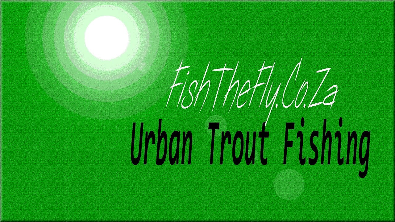 Fly Fishing For Trout In Gauteng - Footloose Trout Farm