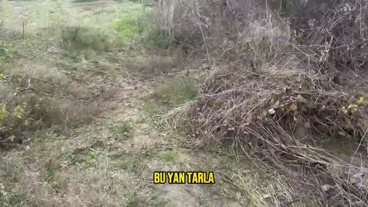 GÖNEN BALIKESİR TÜTÜNCÜ KÖYÜNDE SATILIK 14.793 M2 TARLA VASIFLI ARAZİ