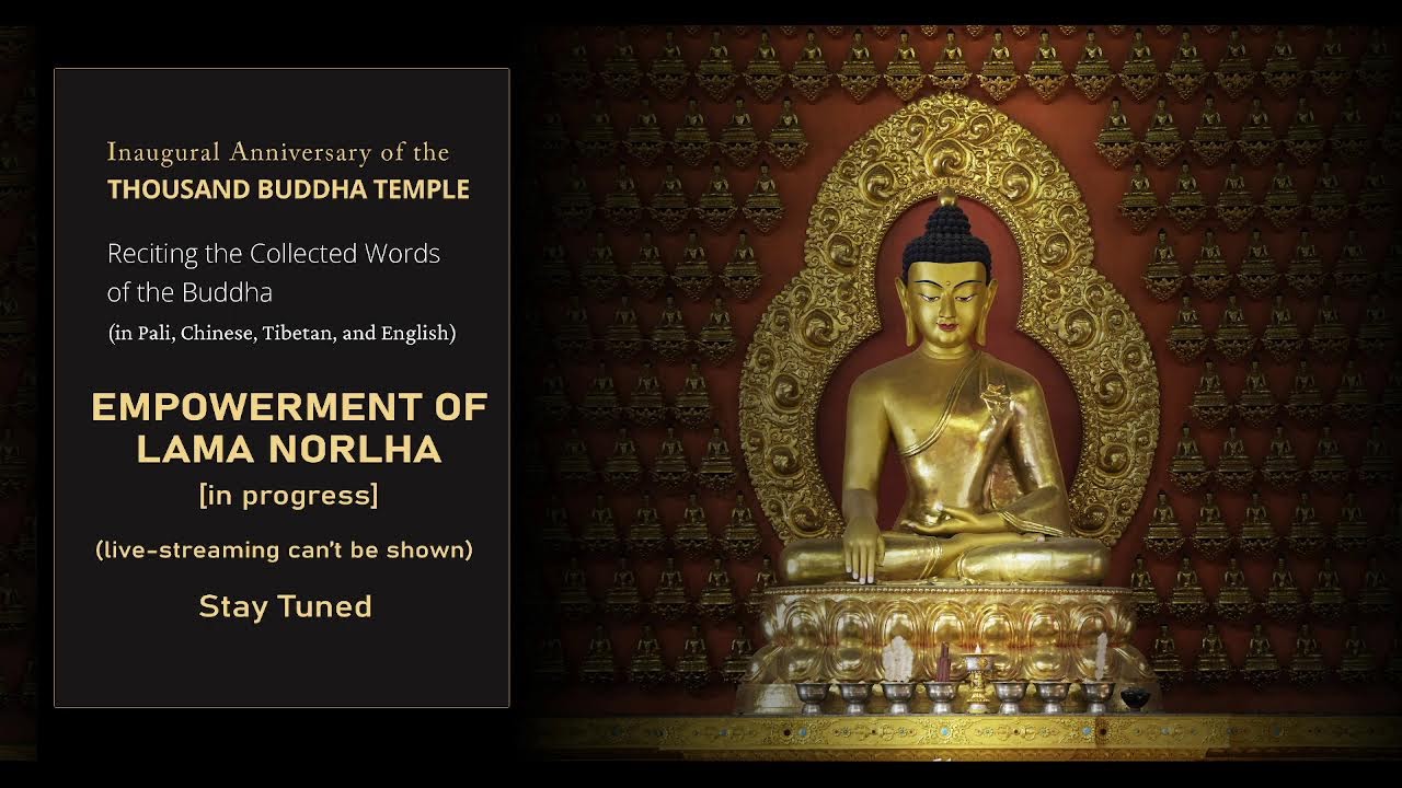 Reciting the Collected Words of the Buddha at PTSL - 2025 (Day 4)