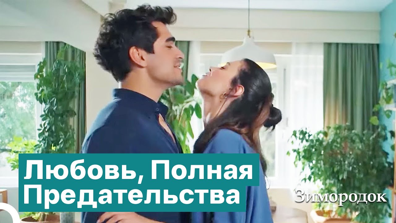 Зимородок Ферит: Тысяча и Одна Ночь Лжи Ферита | Зимородок