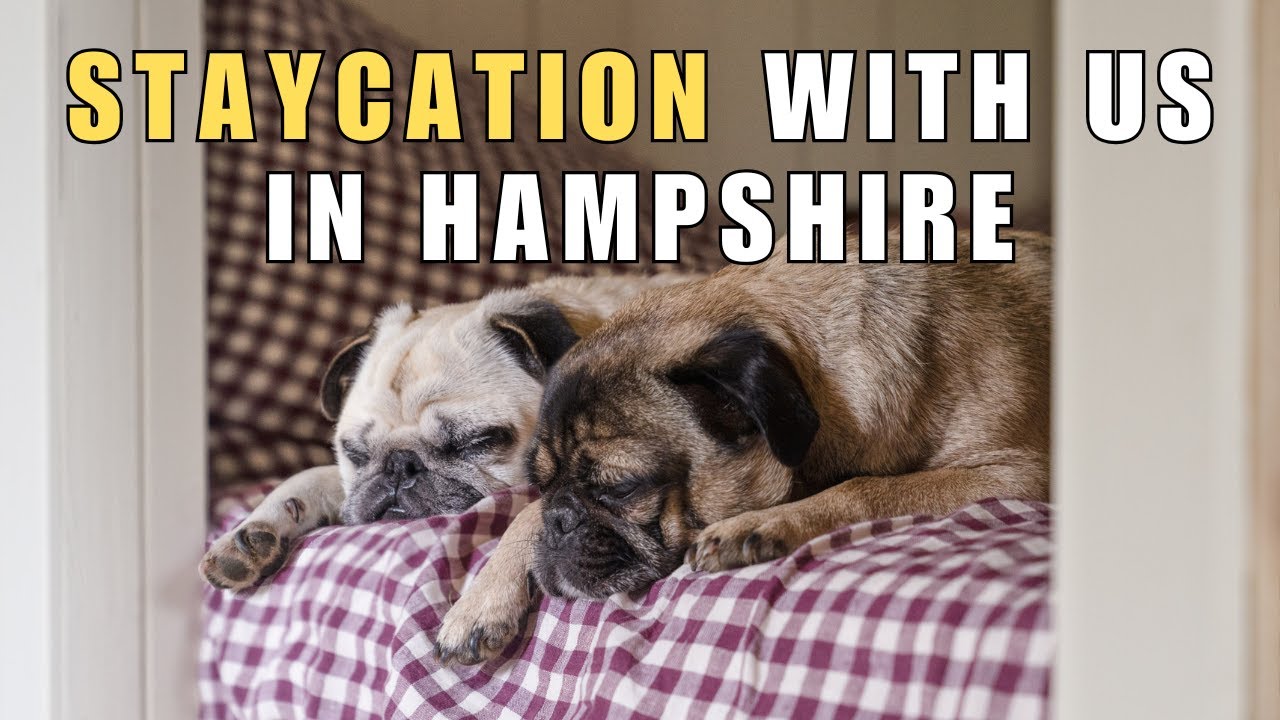 Come with us on a dog-friendly staycation | Woodrest Cabin 🌳🐾