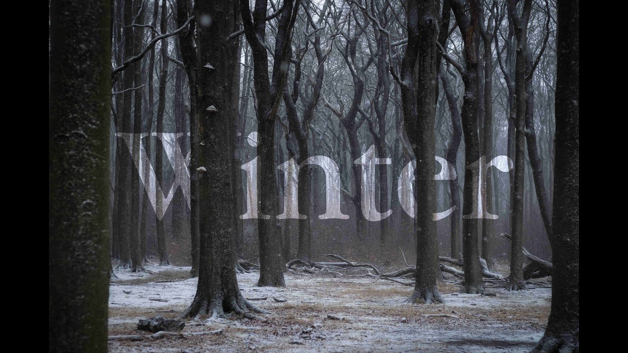 Winterstille in Mecklenburg-Vorpommern