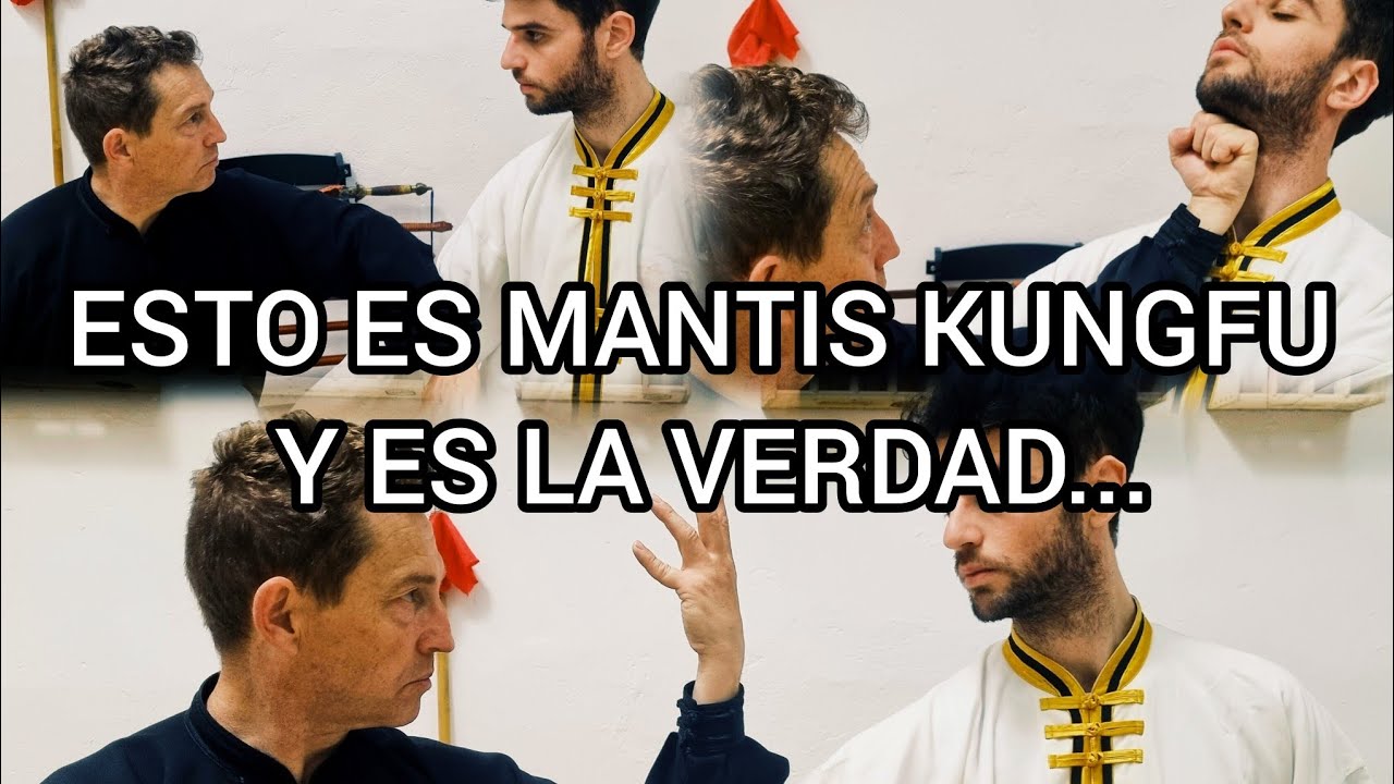 TÉCNICA DE COMBATE DEL ANTIGUO KUNGFU MANTIS RELIGIOSA (TUTORIAL/LOU)#tanglangquan #kungfu #wushu
