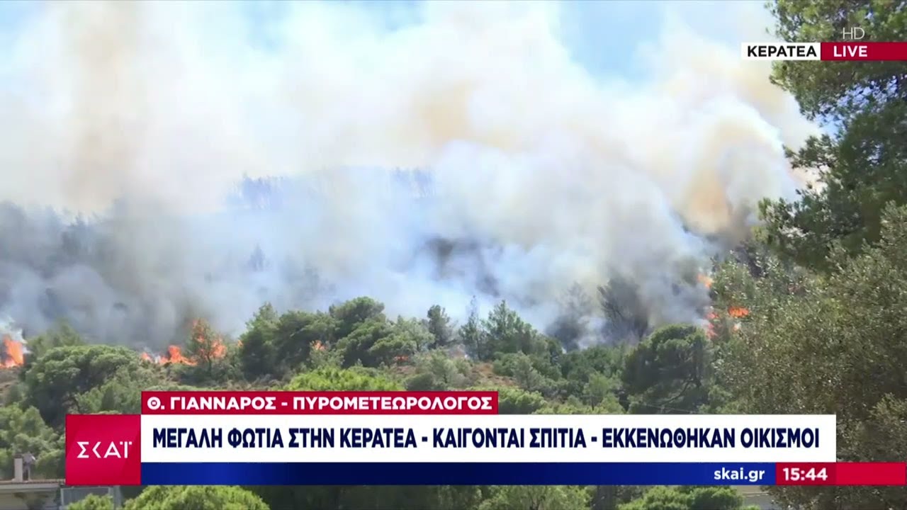 Ο Θ. Γιάνναρος - Πυρομετεωρολόγος για την μεγάλη φωτιά στην Κερατέα | Μεσημβρινό Δελτίο | 30/06/2024