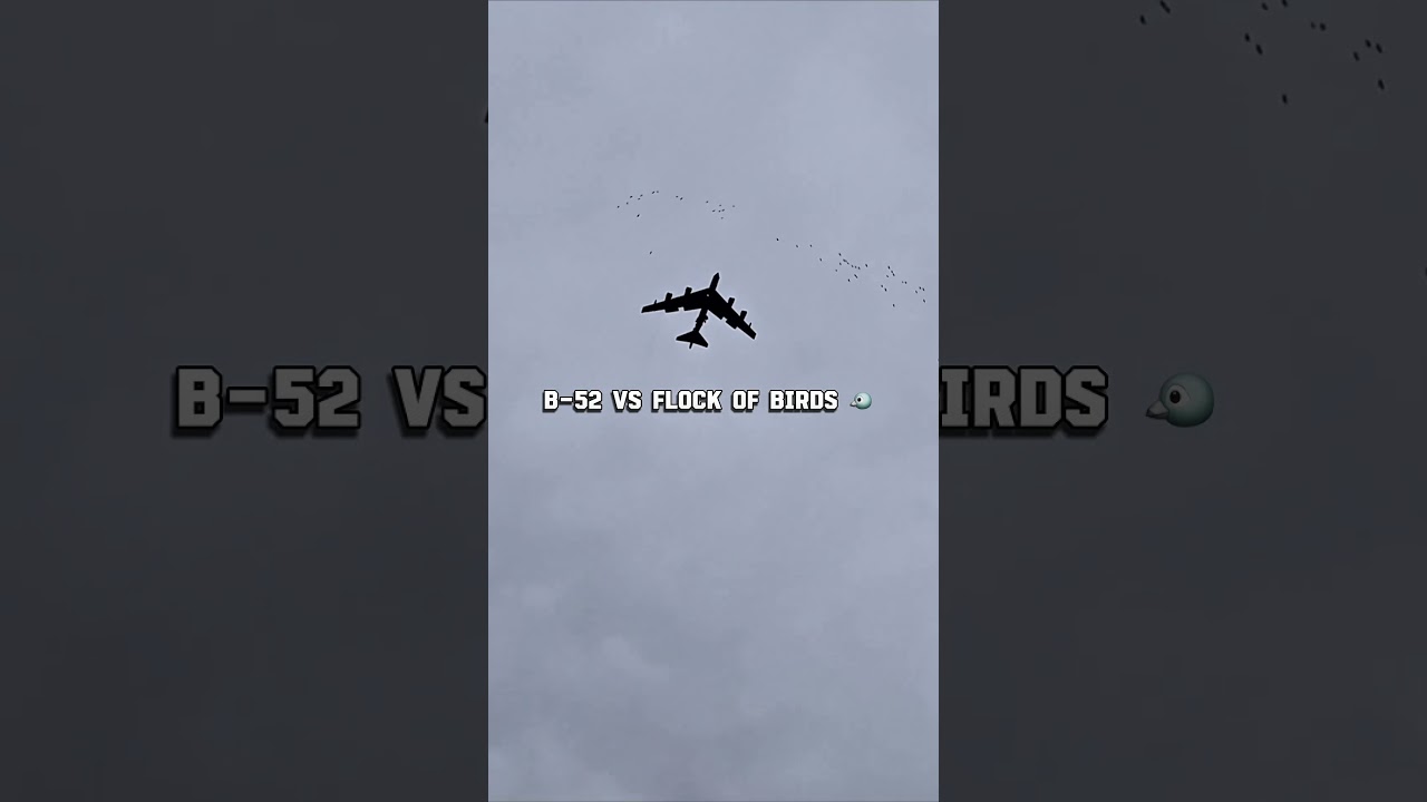 B-52 vs a flock of birds 😳 #aircraft #military #aerospace #engineering
