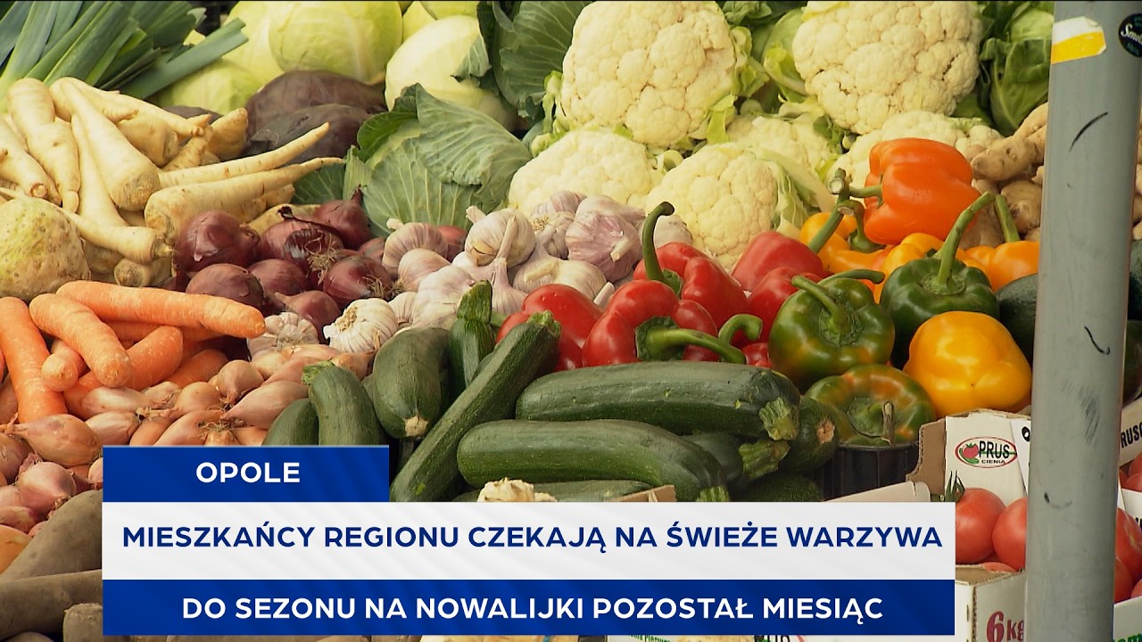 Mieszkańcy regionu czekają na świeże warzywa. Do sezonu na nowalijki pozostał miesiąc