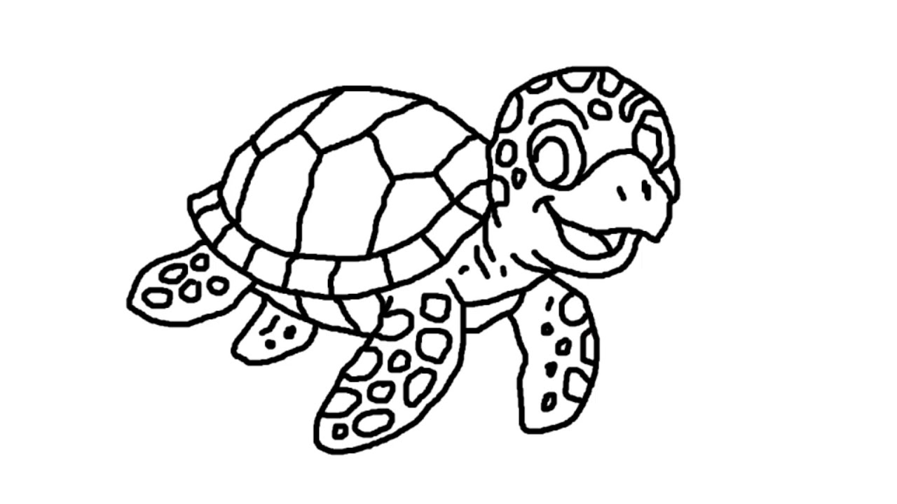 Sea Turtle Easy Drawing - Nishant Pundir