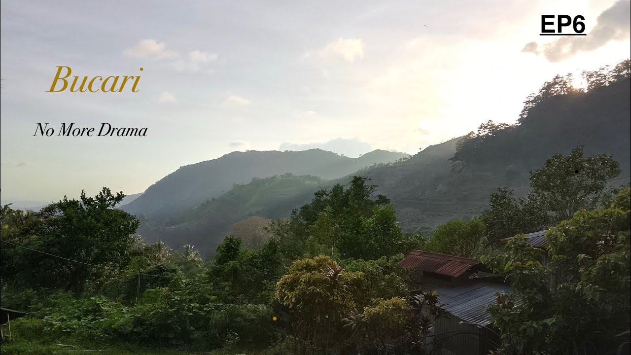 No More Drama (Panay,Bucari)