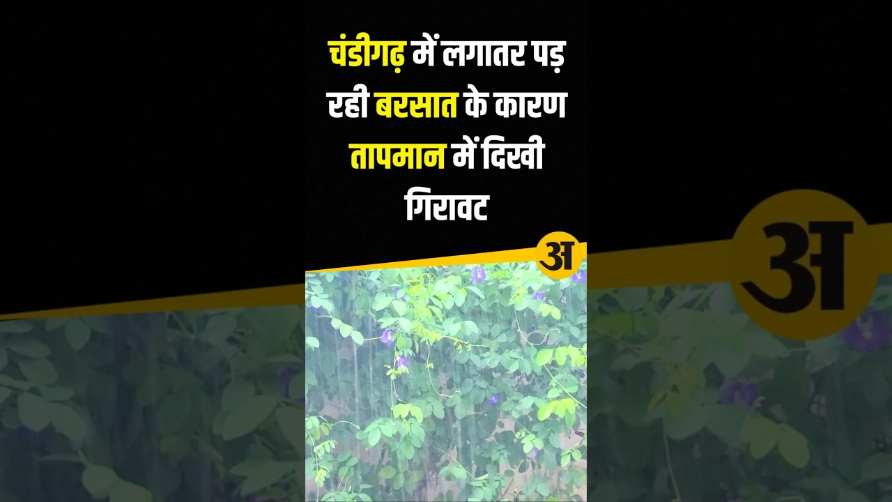 बारिश #viralnews #breakingnews #arthparkash #news #weather #rain