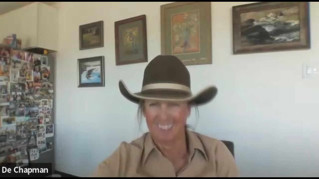 Episode 1: What Makes a Mounted Shooting Horse?