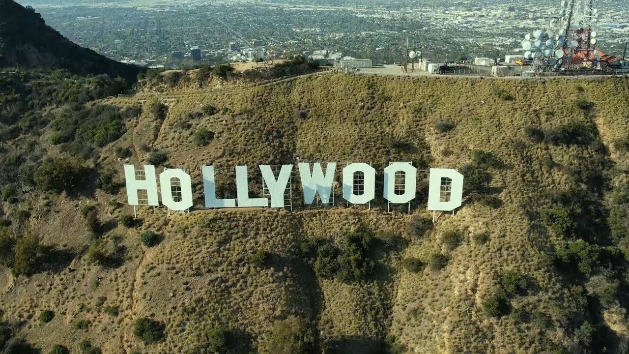 AyAhuasca - HOLLYWOOD