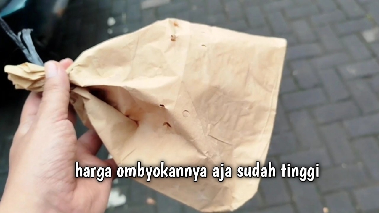 JANGAN PERNAH TERTARIK SAMA BURUNG INI !! NYARINYA SUSAH HARGA BAHANNYA MAHAL