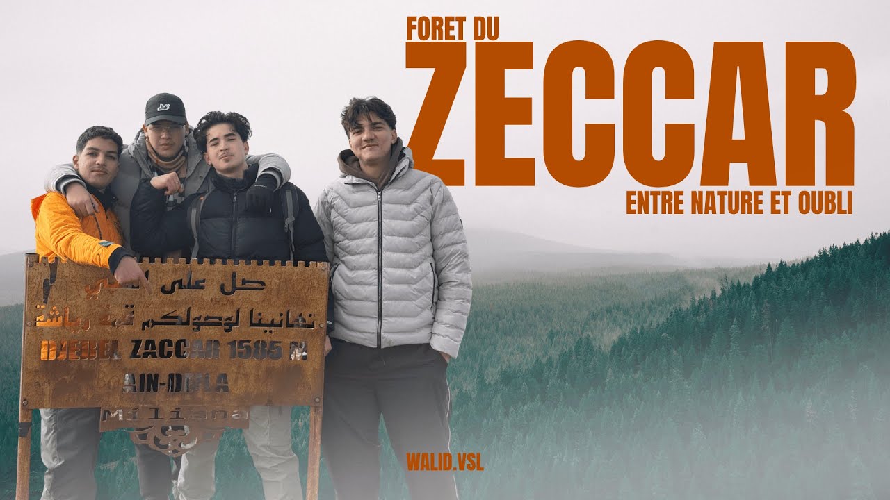 forêt du ZECCAR entre nature et oubli